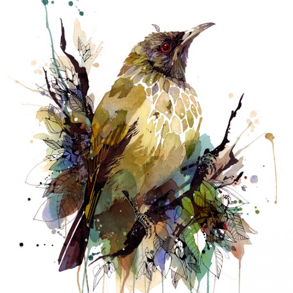 Bellbird Bouquet by Rachel Walker.
