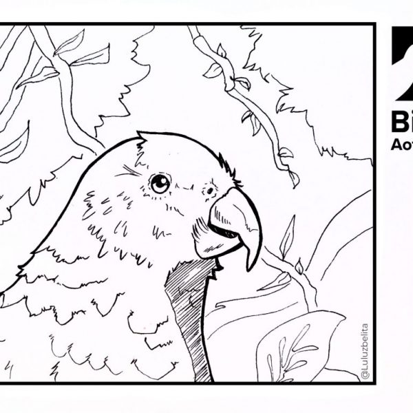 Colouring Sheets
